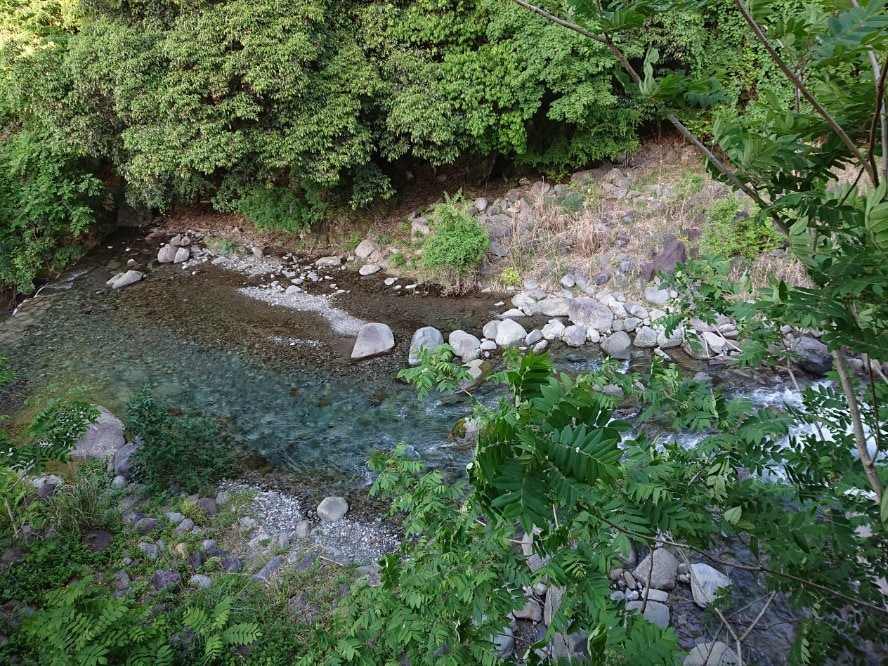 DSC_1006.JPG