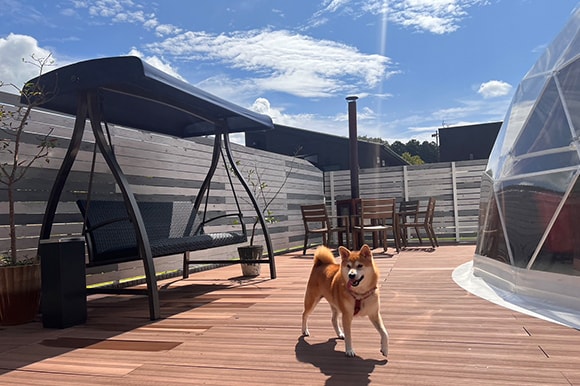 Sun Tower Private Deck