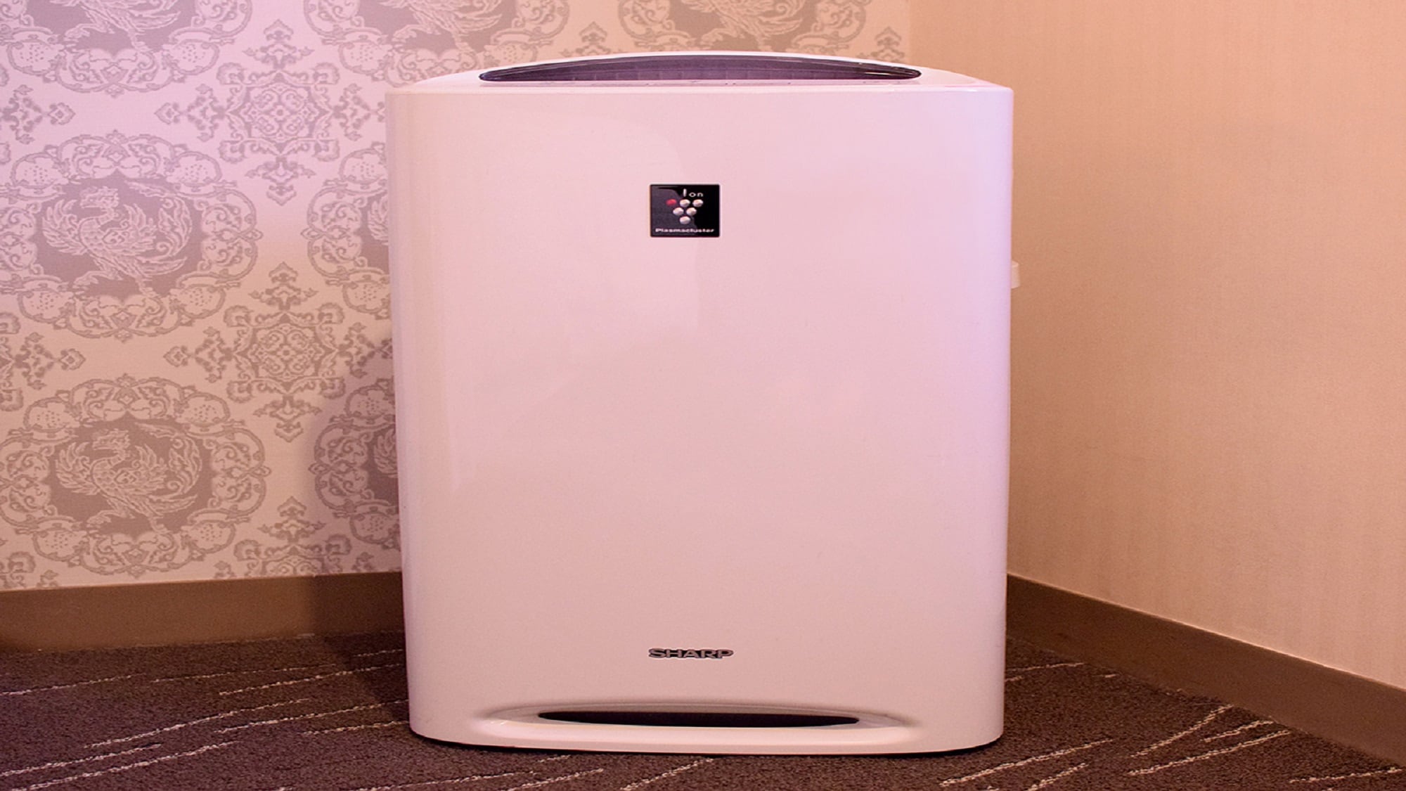 Equipped with an air purifier with a humidifying function (Customers are required to supply water when using a humidifier in consideration of hygiene)