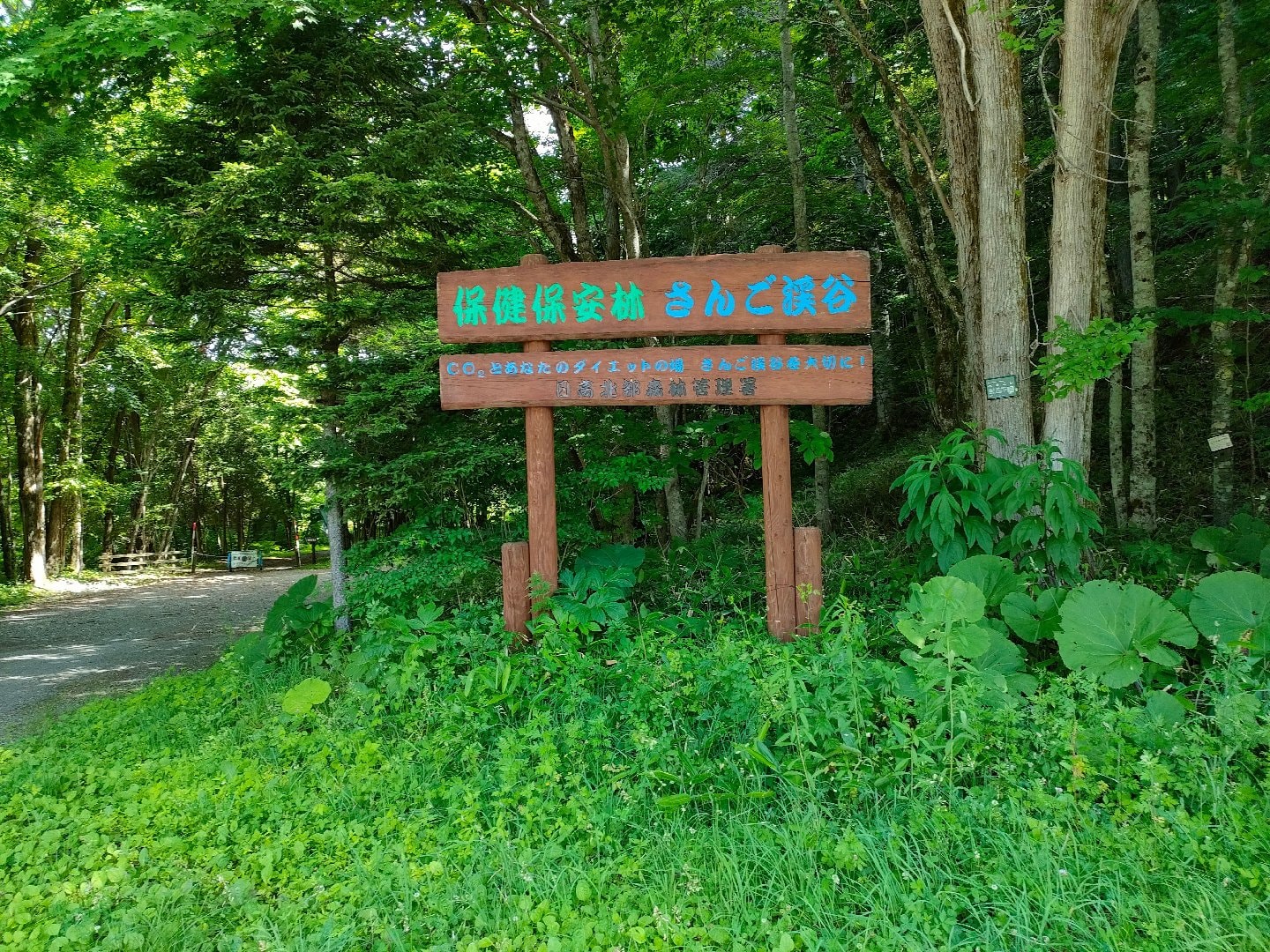 IMG20260708092132.jpg