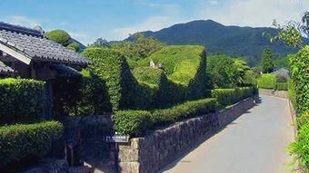 知岚武士住宅花园