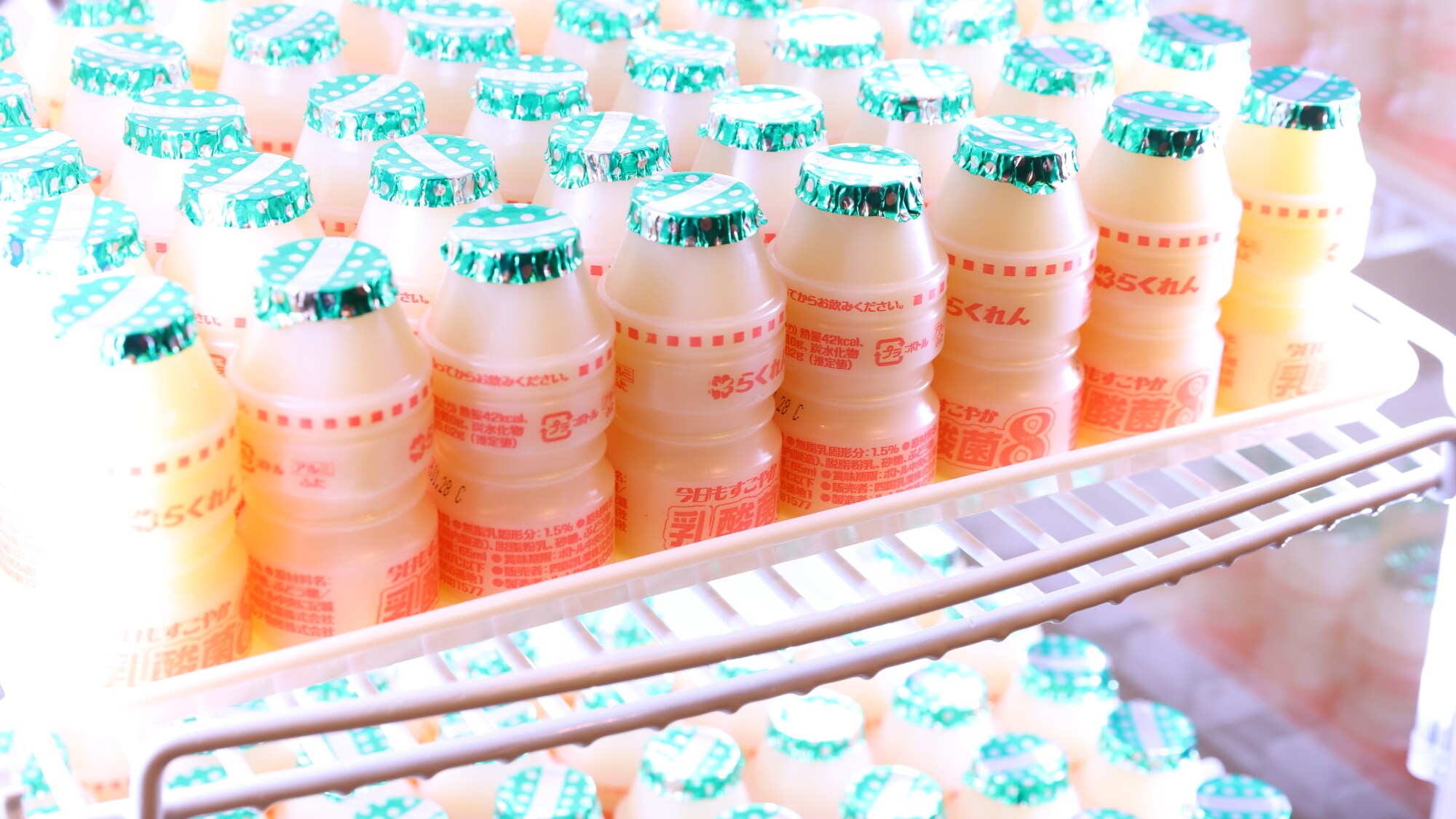 ■Free lactic acid bacteria service «5am-10am»