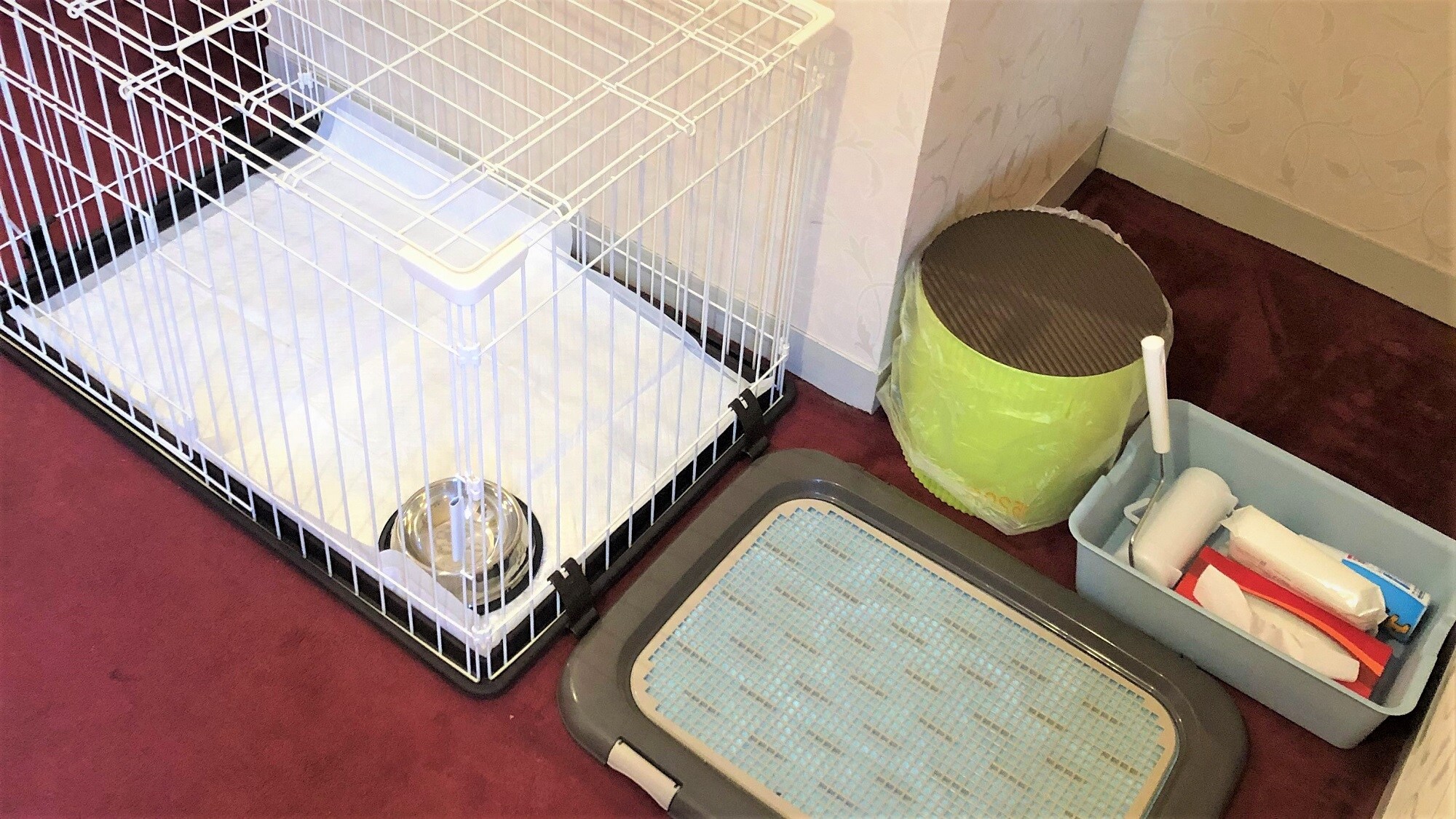 Amenities for dogs