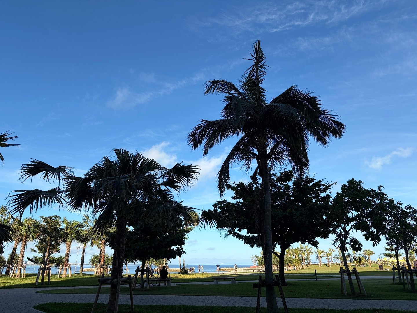 735E7977-F651-4A12-B1E2-E1A7241C4E53.jpeg