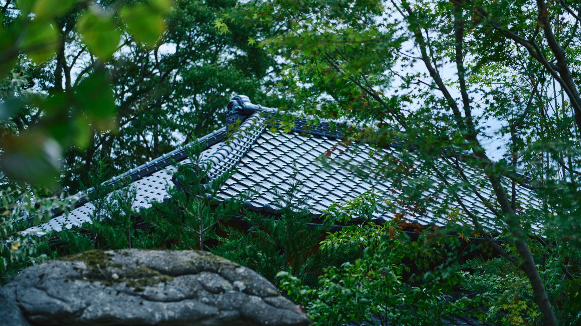 總統套房<kominka kome>