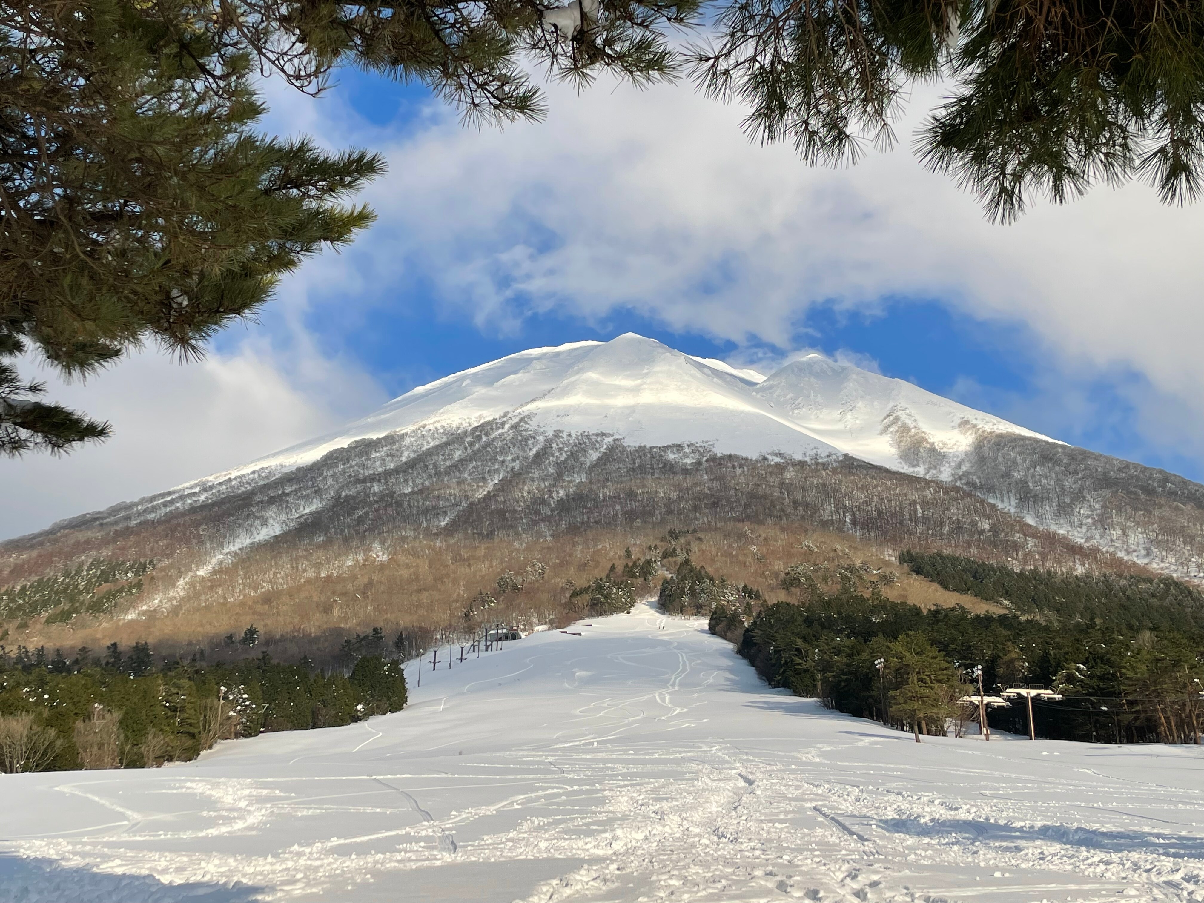 Daisen Ski Resort, Mt. Daisen and pine trees