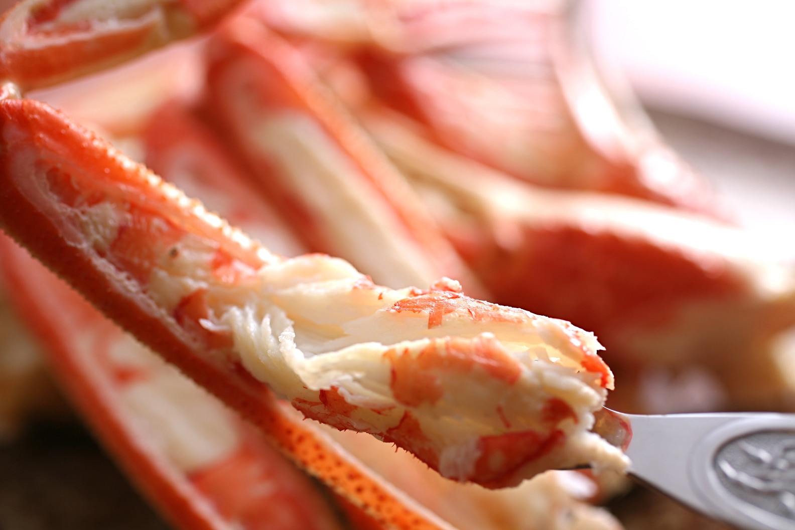Grilled crab image