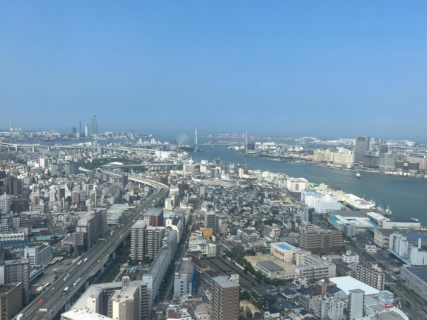 IMG_8361.jpeg