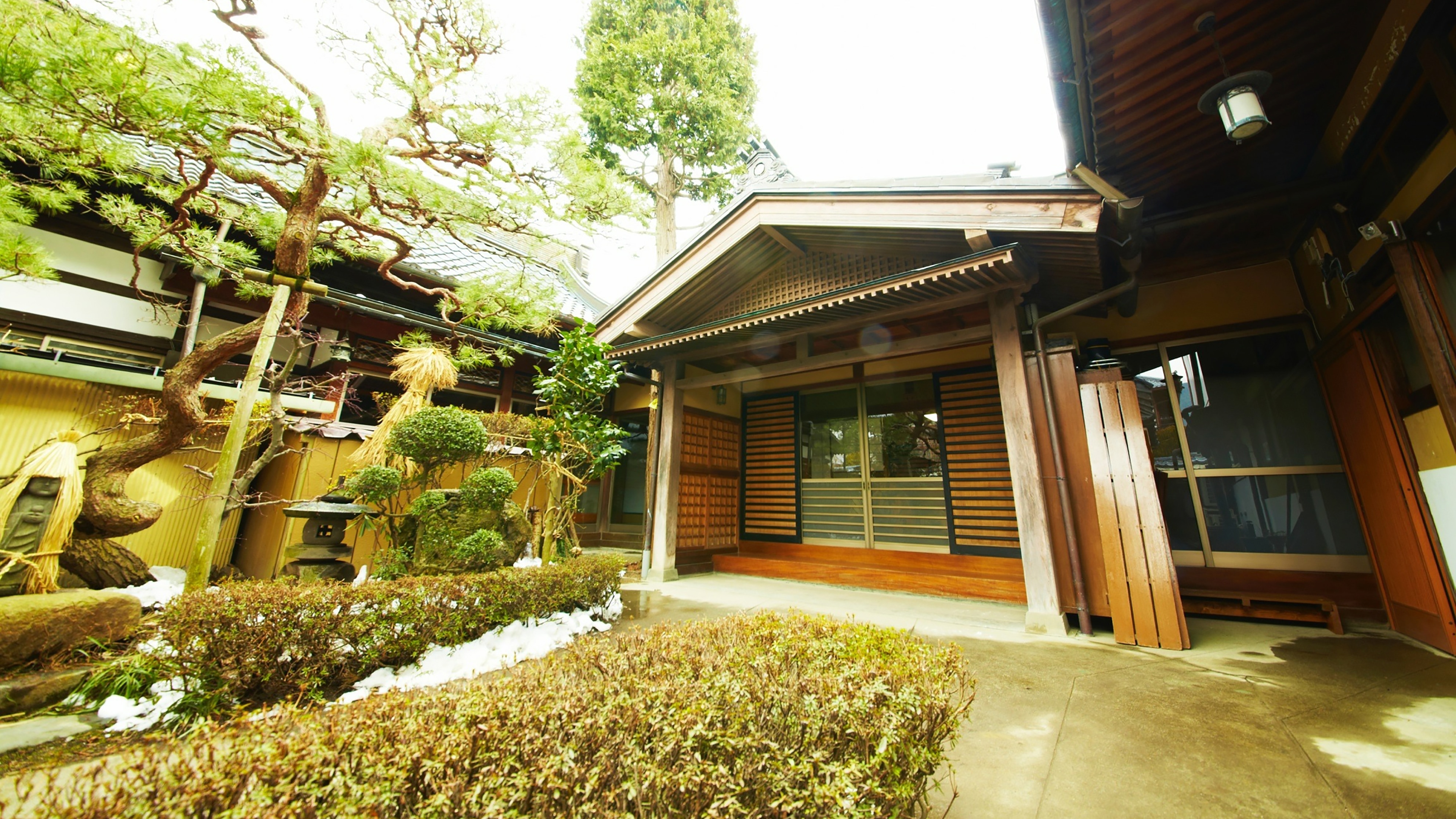 Appearance of Yakuoin