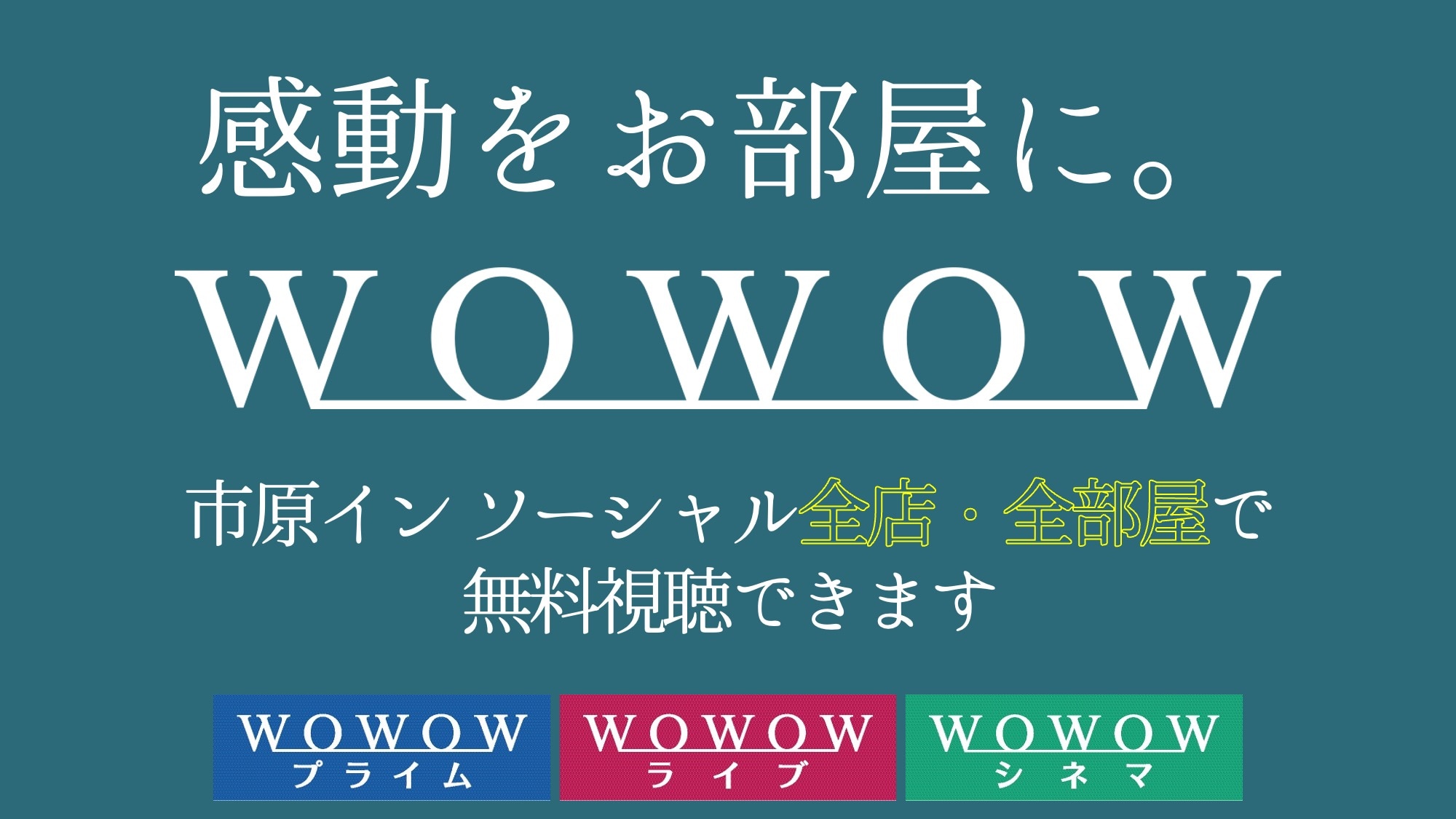 รับชม WOWOW ได้ไม่จำกัด