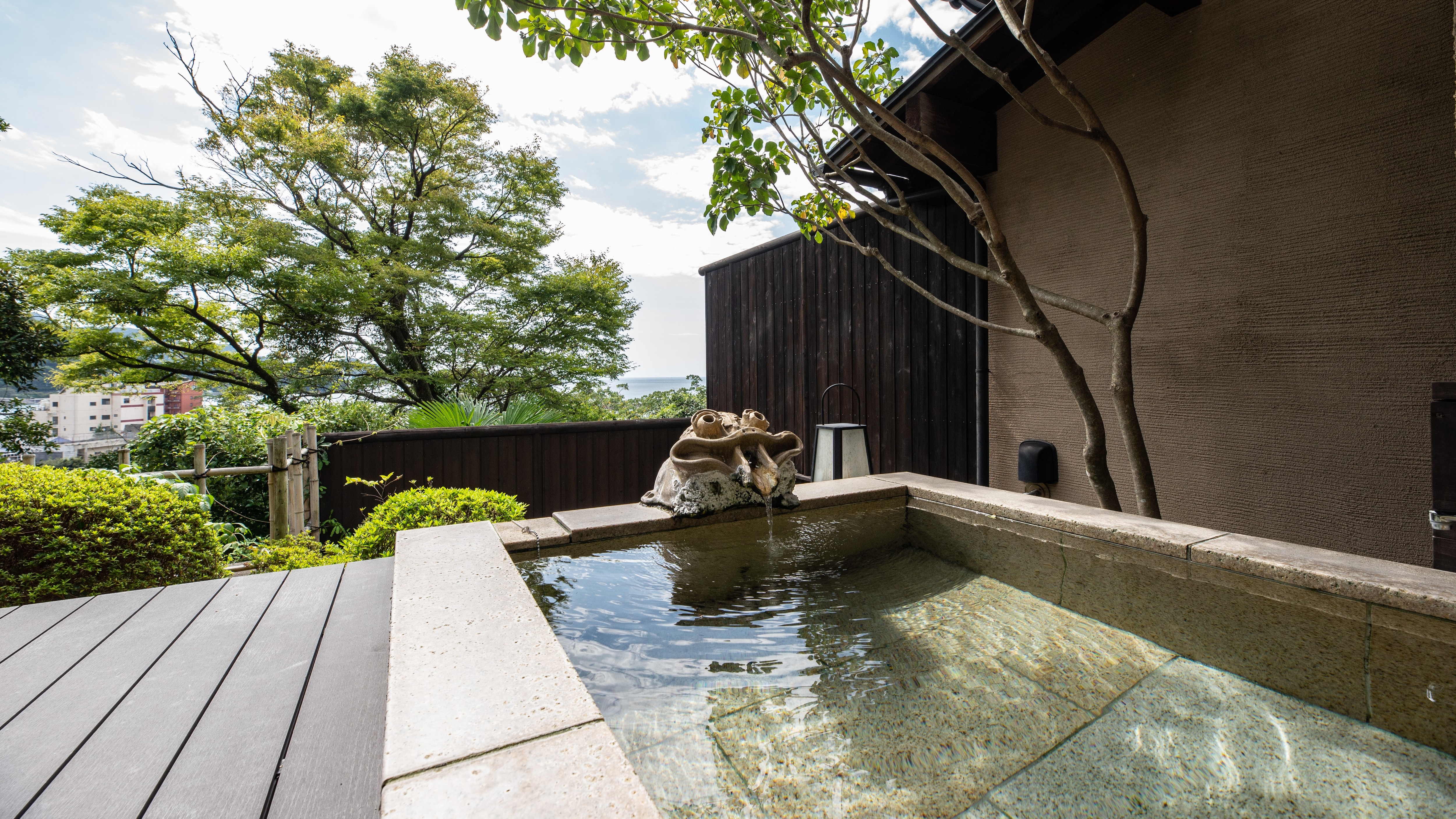 มะเดื่อ