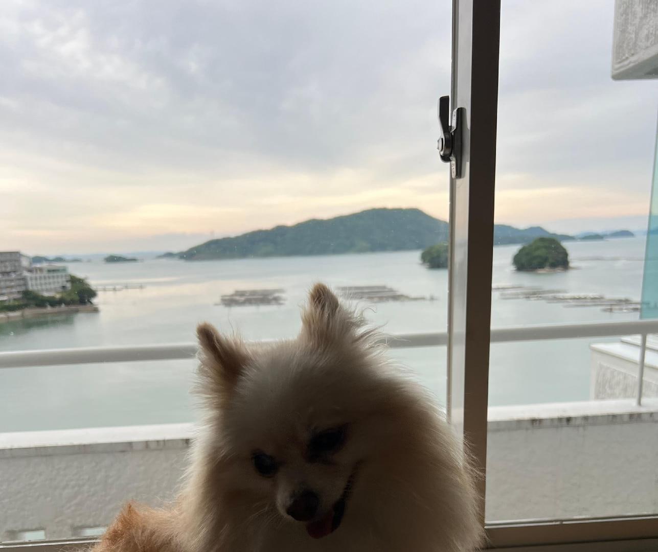 IMG_8901.jpeg