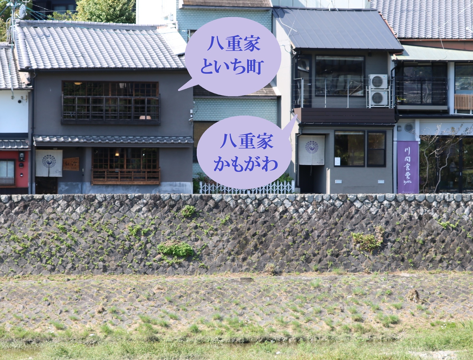 鴨川對岸的景色