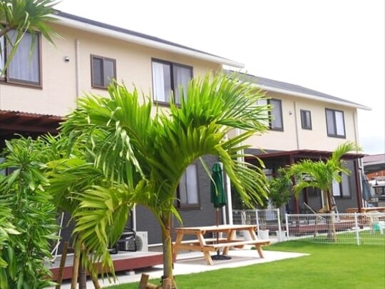 A grassy front yard that is pleasing to the eye.