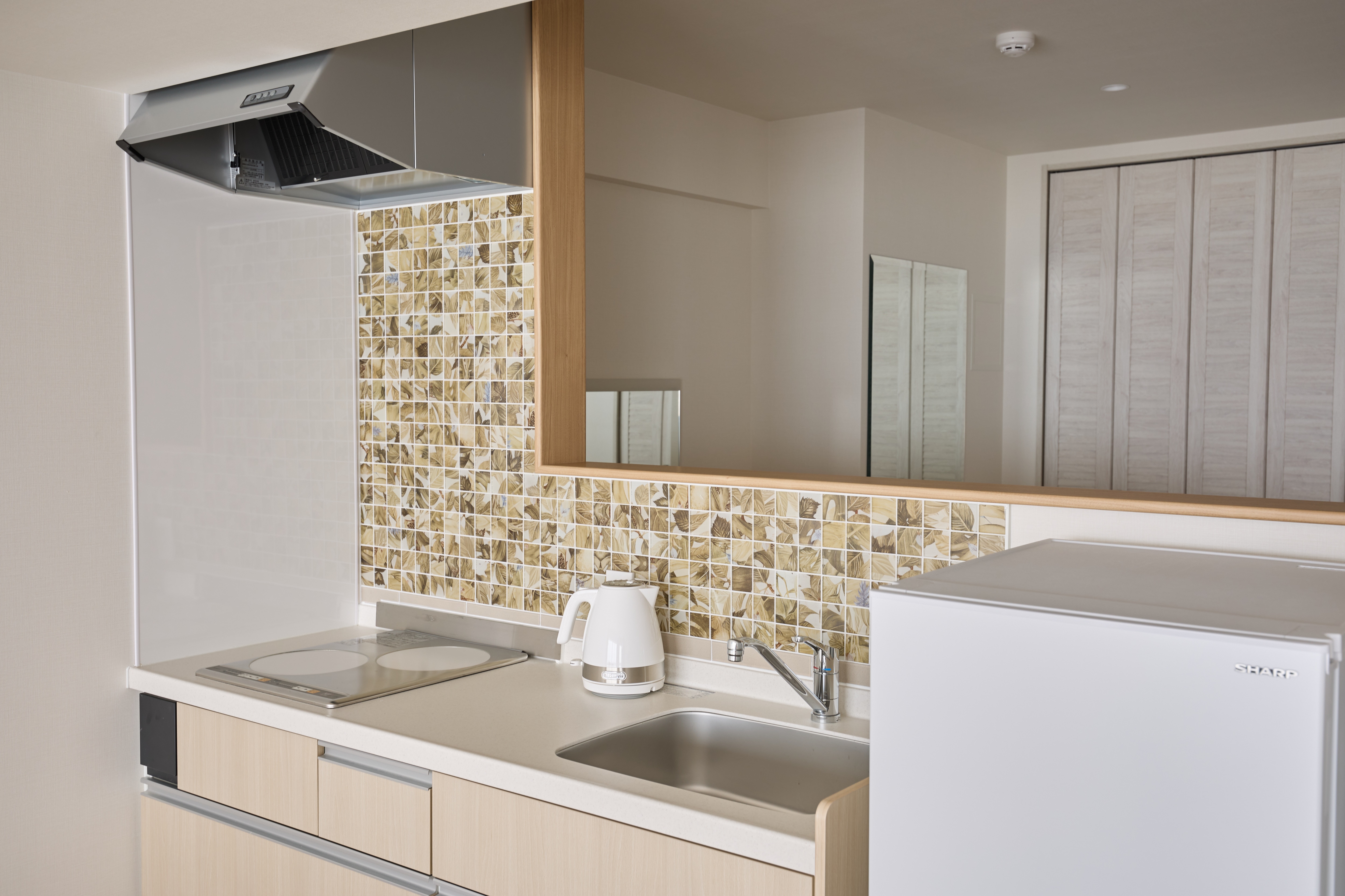 Deluxe Kitchen in the Main Building