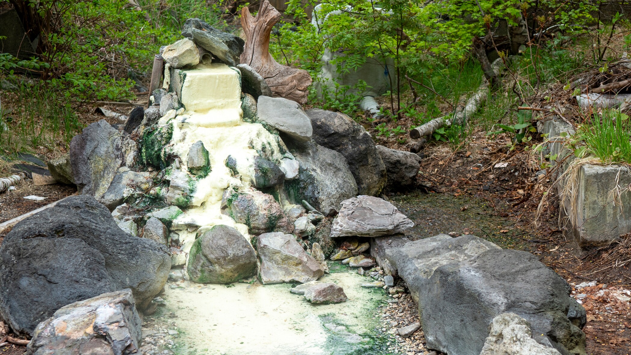 [ลักษณะที่ปรากฏ] พวยแหล่งที่มา