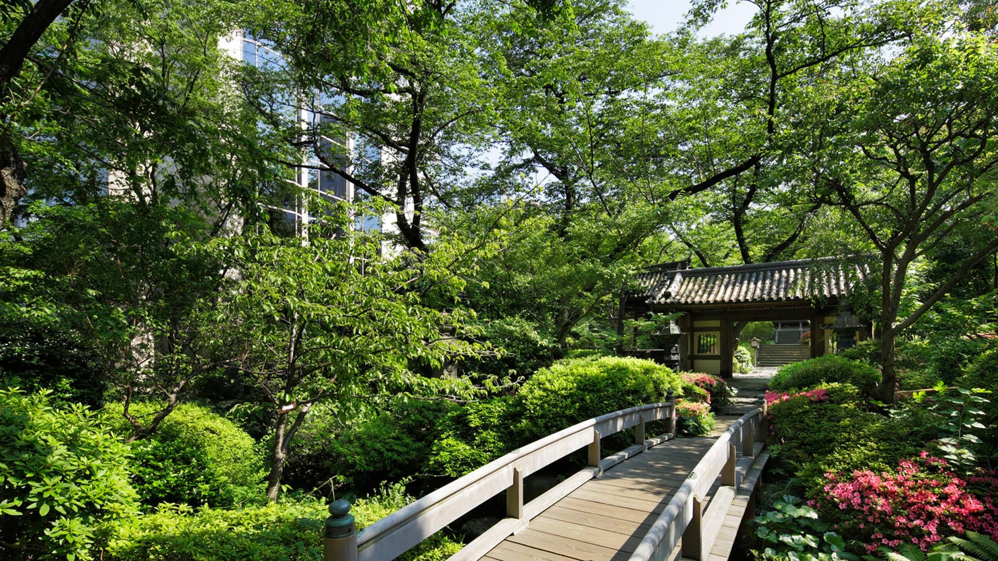 Japanese garden gate and bridge