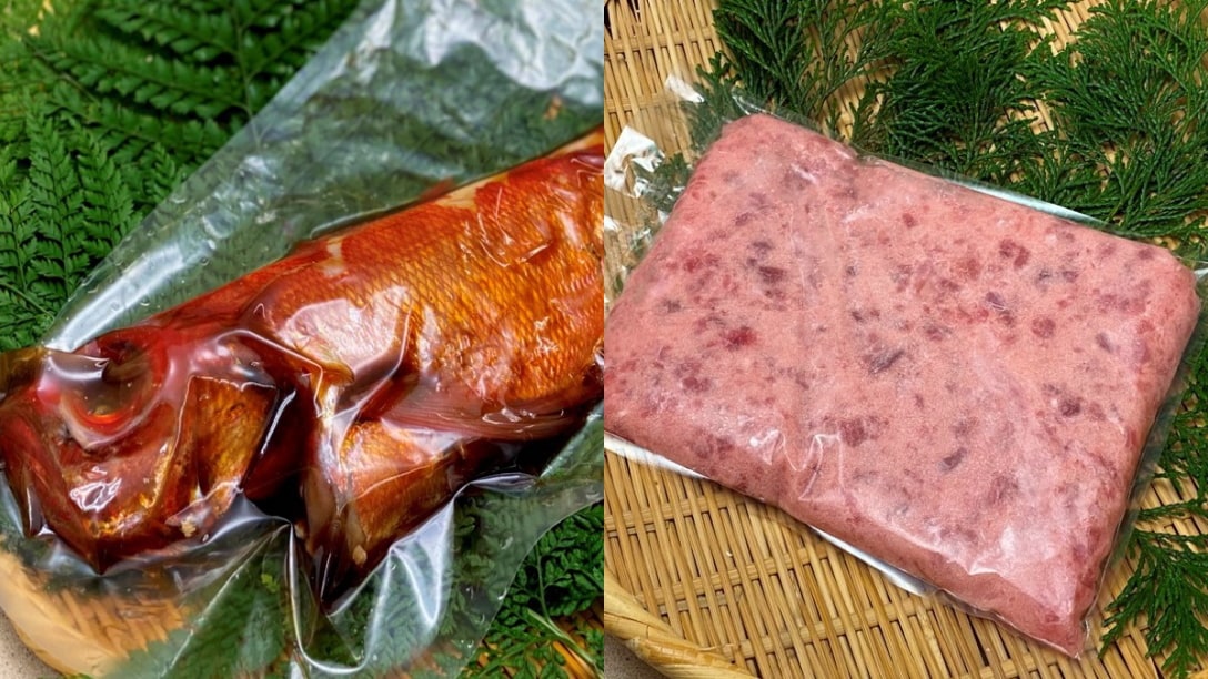 紀念品範例：紅鯛魚或鮪魚