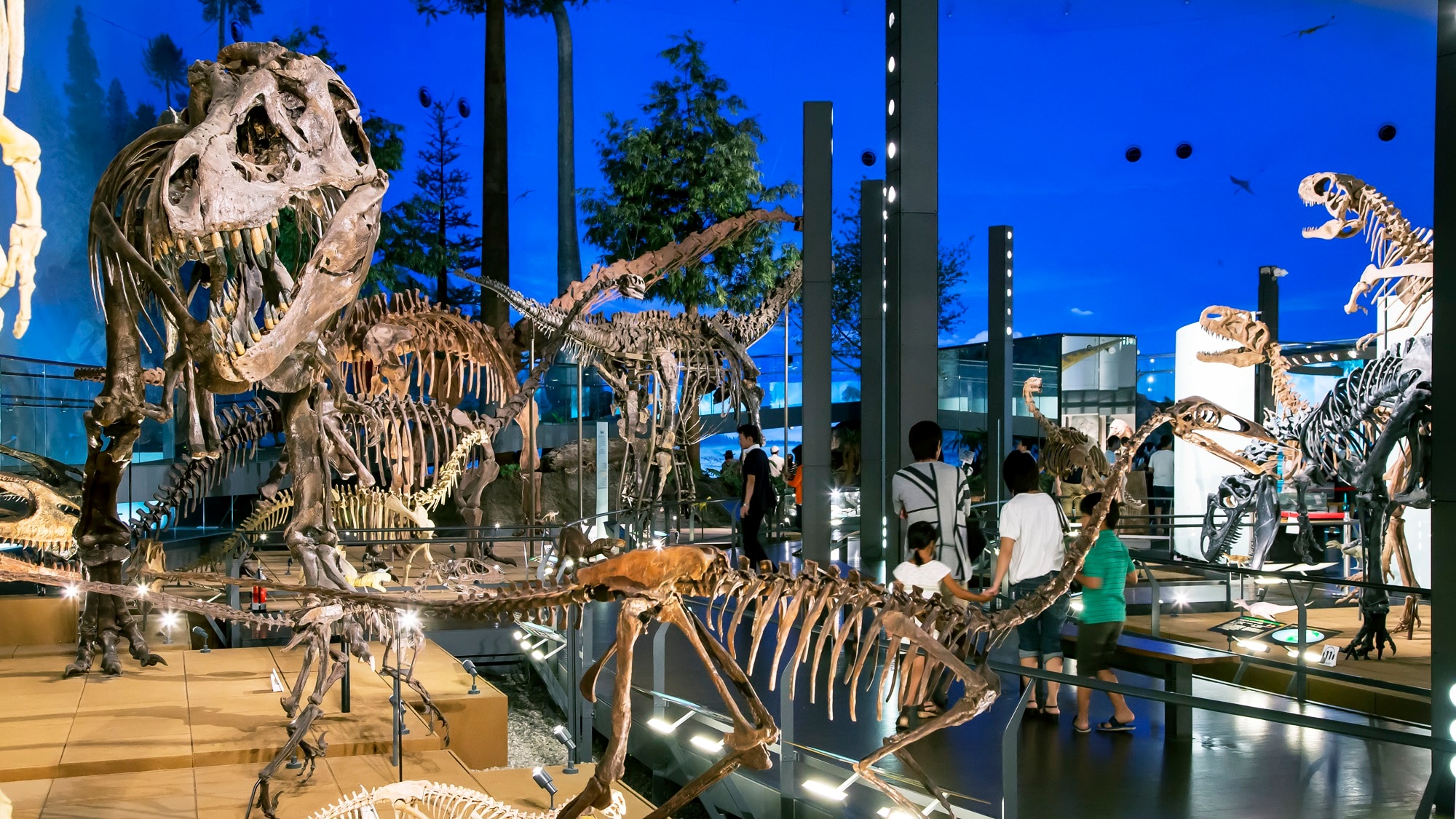 *Dinosaur Museum