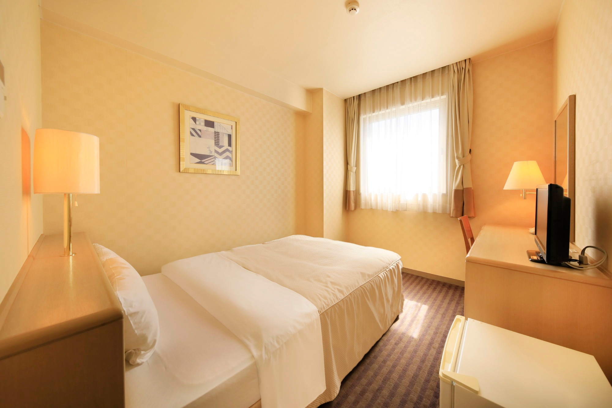 Kamar ekonomi ganda