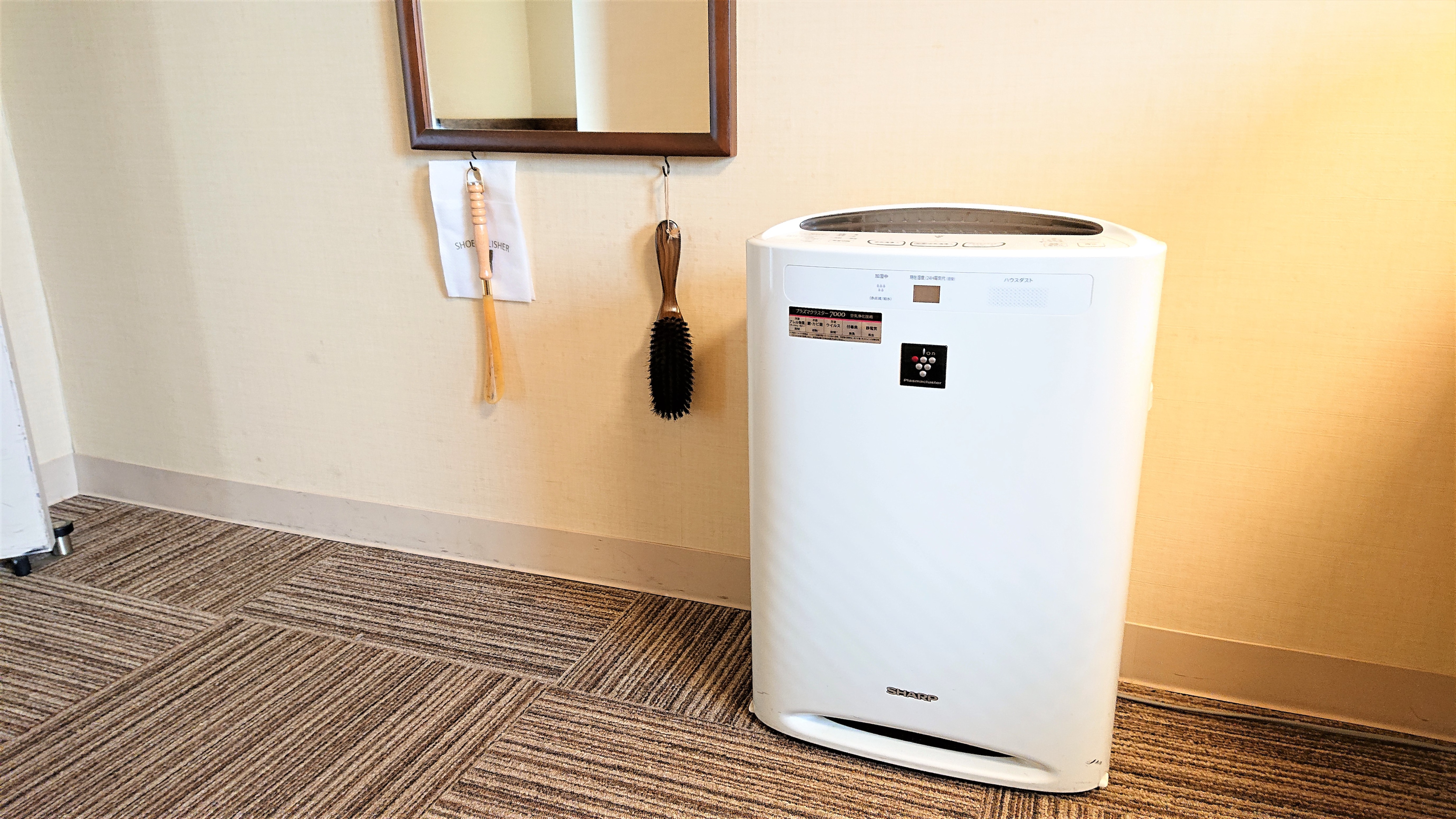 Air purifier (with humidifier function) - To prevent colds and hay fever in winter