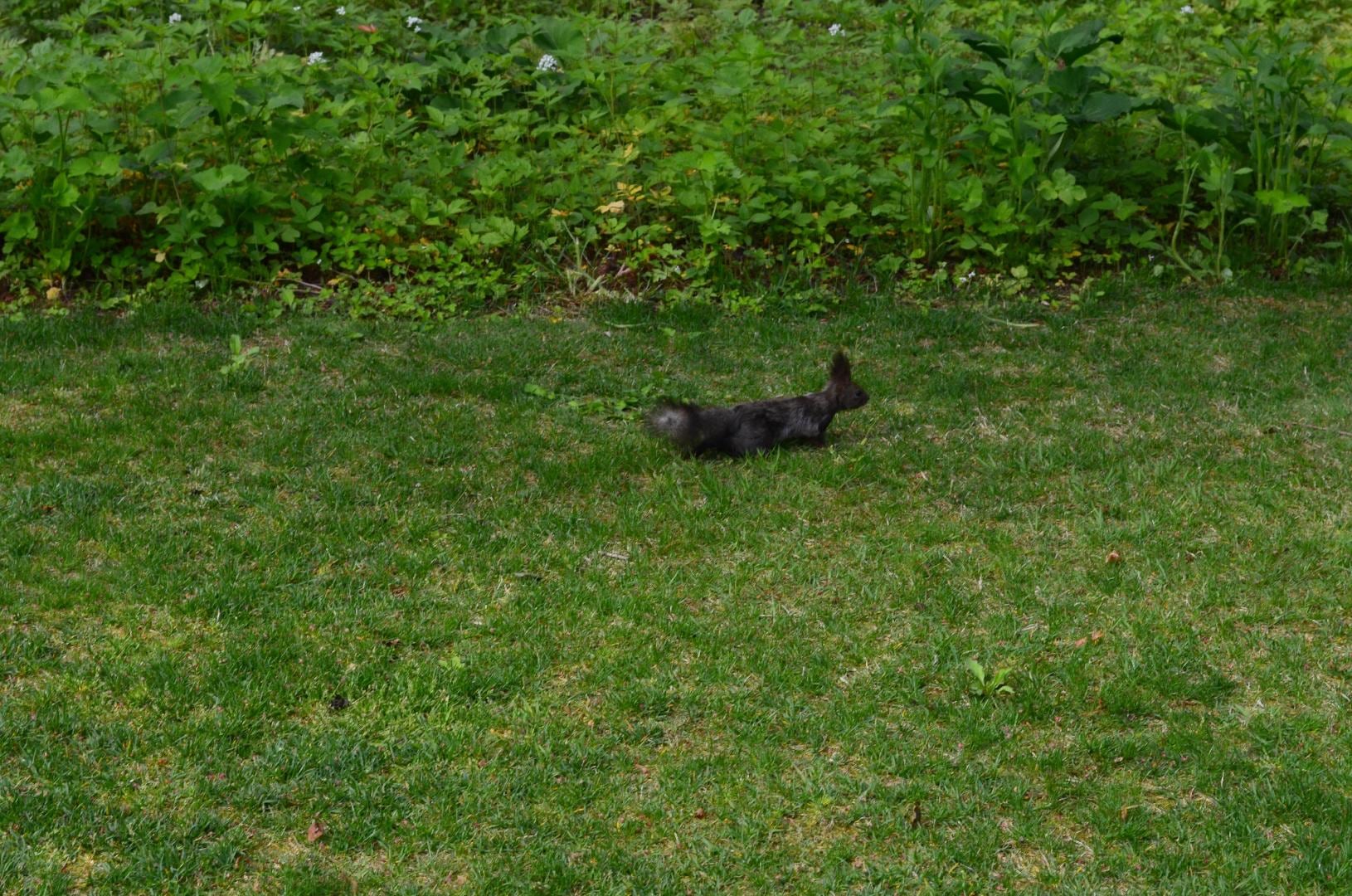 DSC_0055.JPG