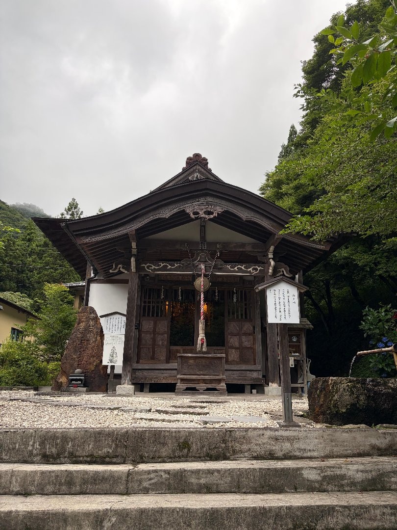 IMG_0342.jpeg