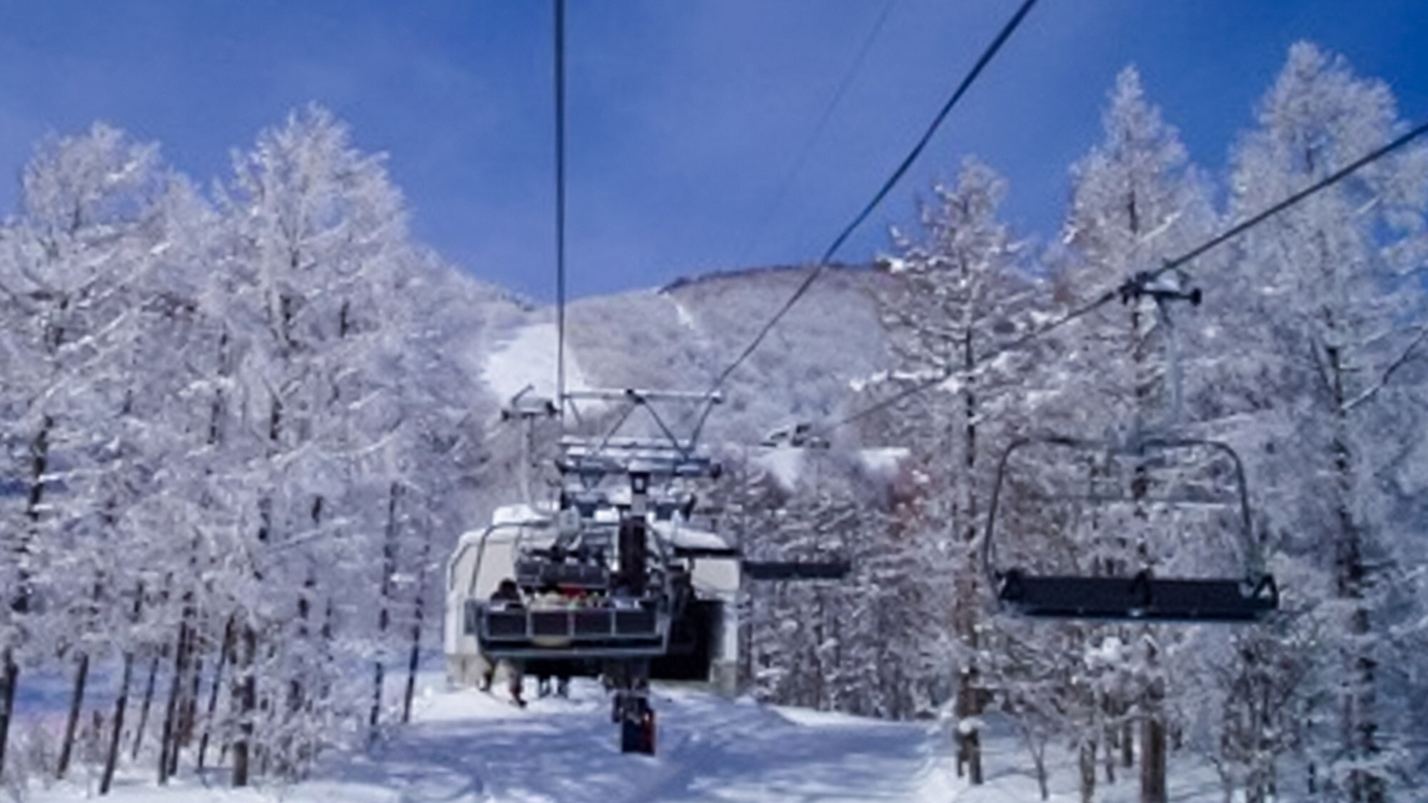 ・【附近】還有滑雪學校