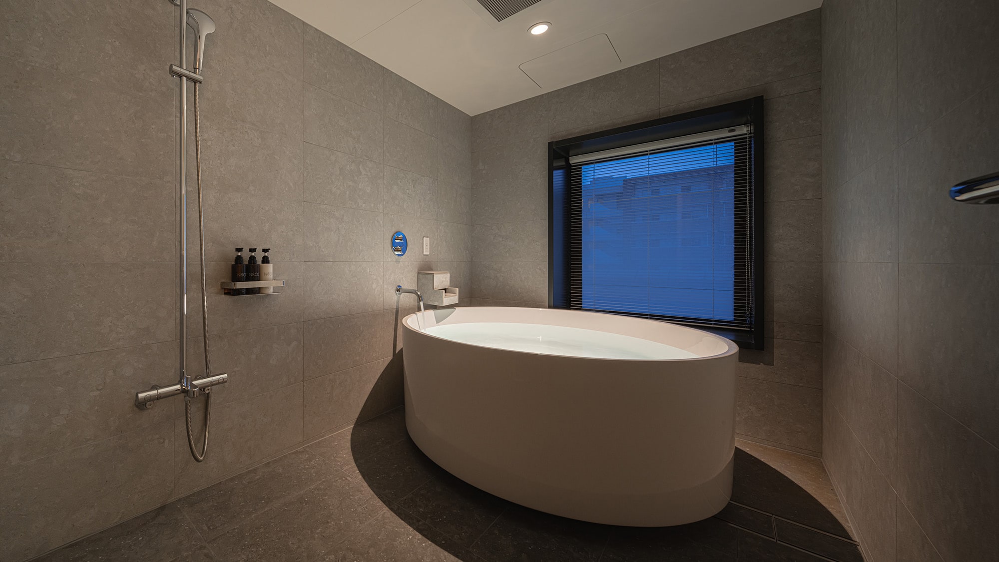 Premier Twin | Bathroom with washing area (with artificial hot spring/overhead shower)