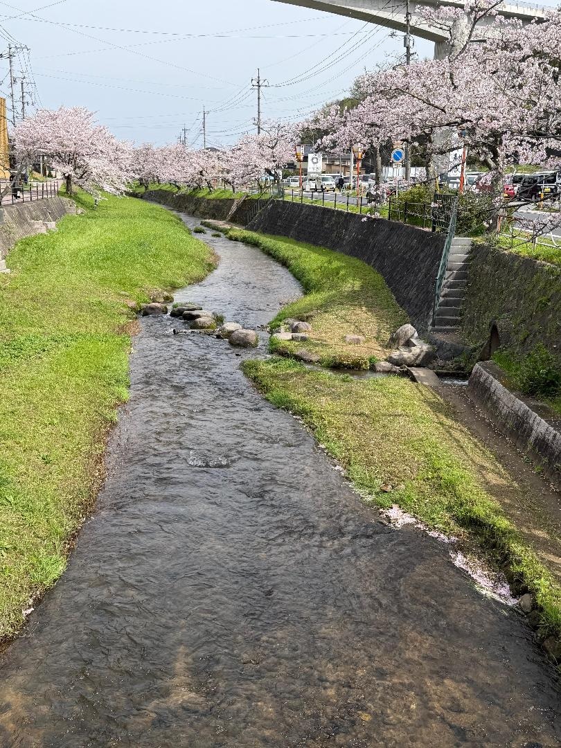 B2791EC7-C65C-4881-A010-504F0DAC92DB.jpeg