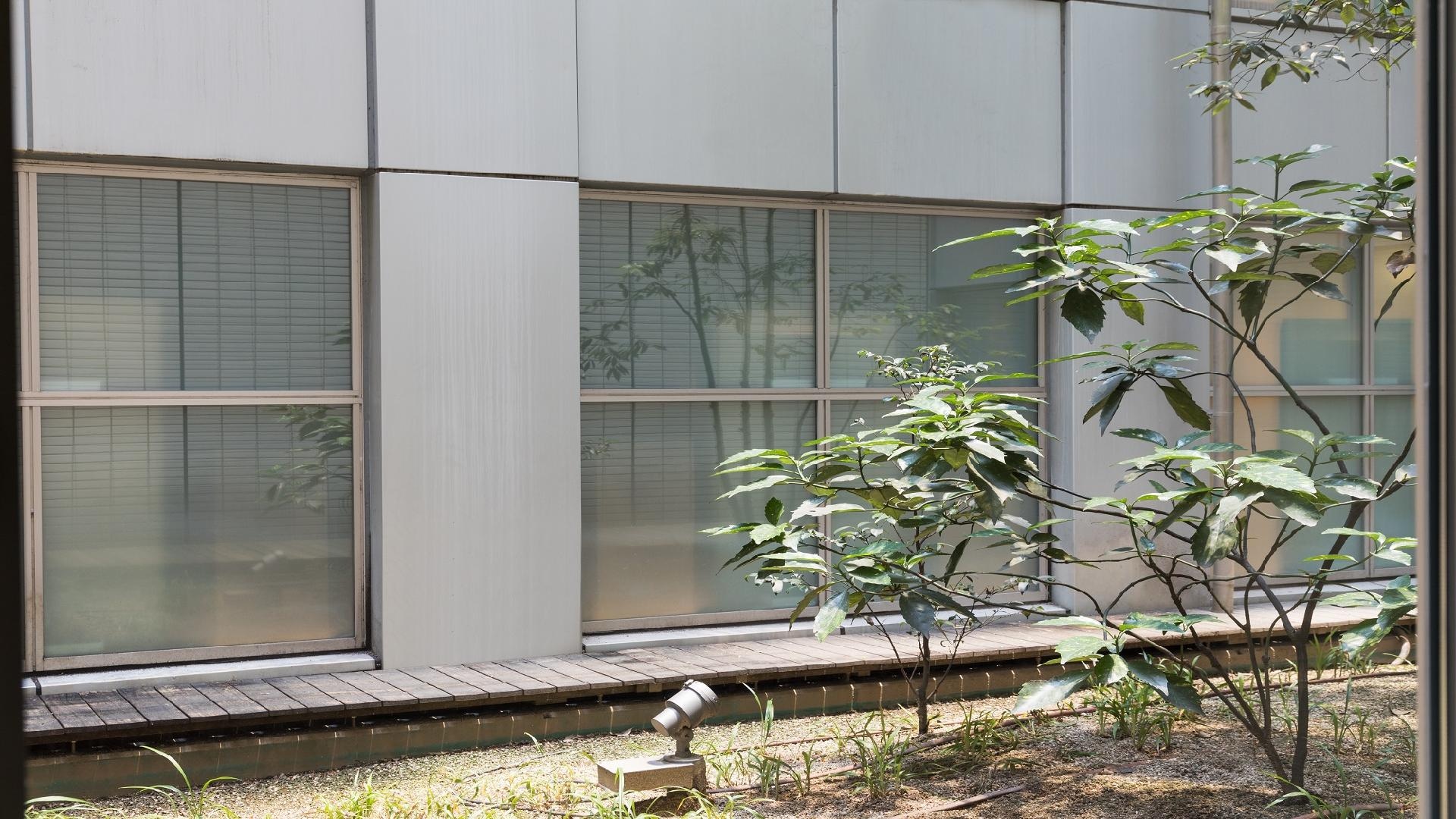 Planting surface image
