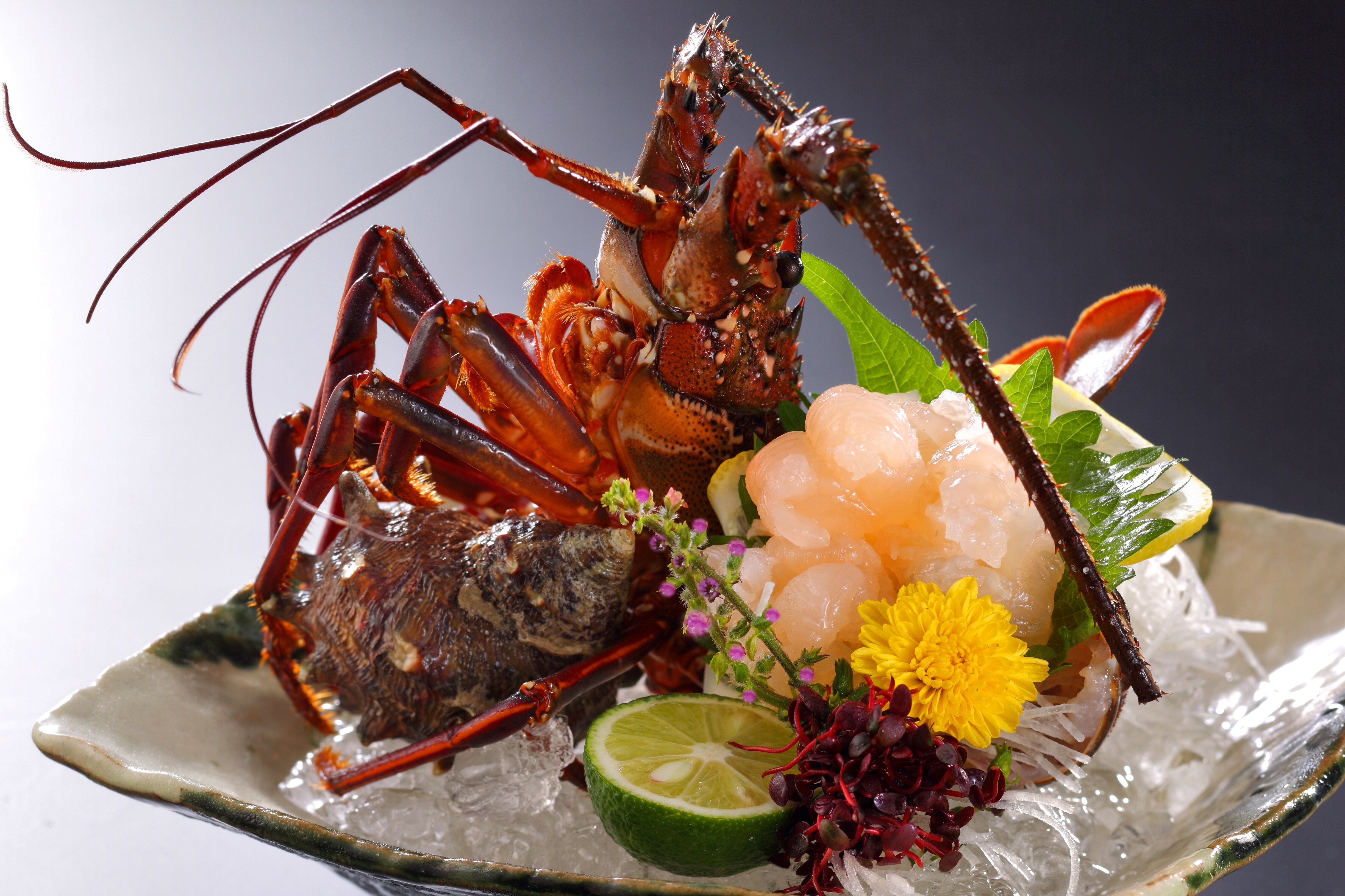 spiny lobster