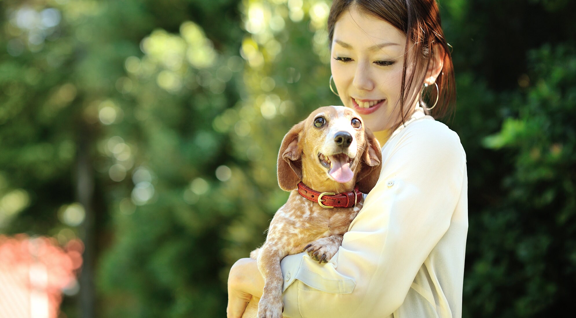 Precious memories with my dog