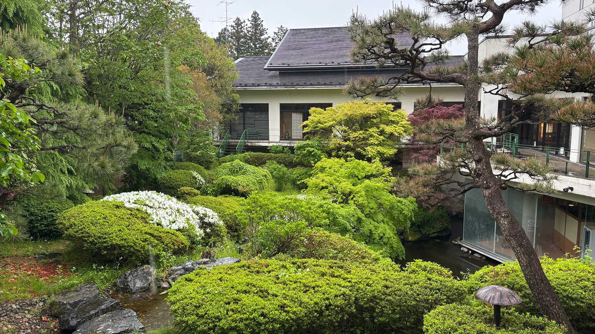 Courtyard (fresh greenery)
