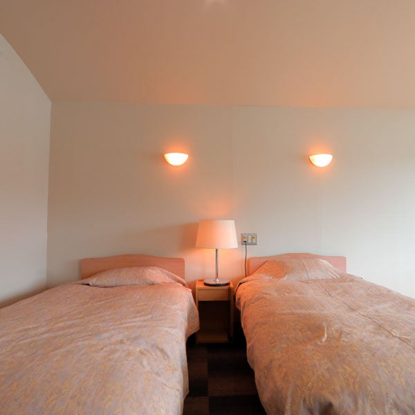 Japanese-Western style room