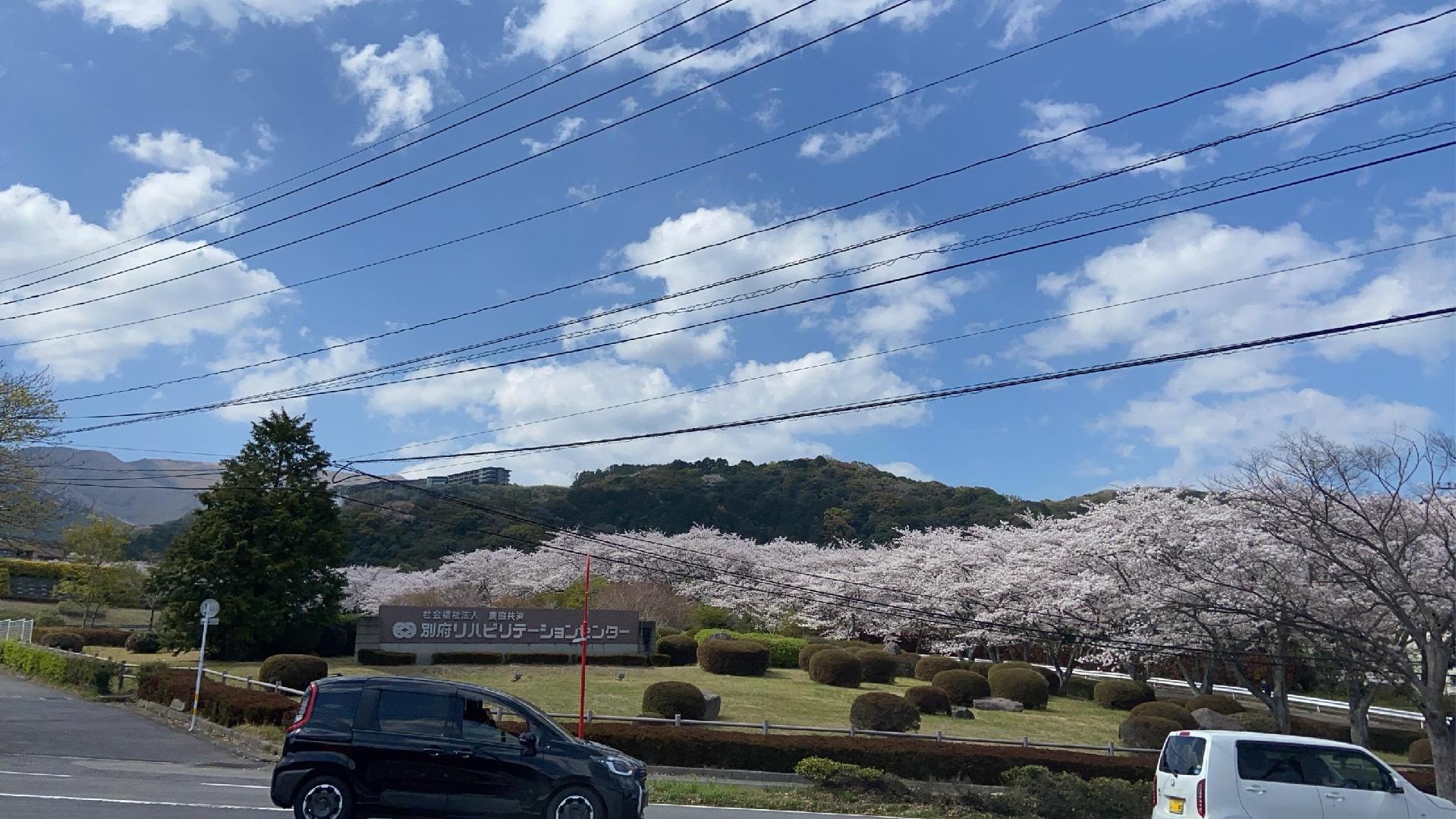 3C594318-7D5A-4251-A671-098B2F7D8BA9.jpeg