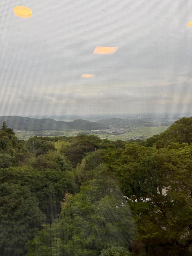 6AF44558-027B-42DE-B3B8-190BE3D8D460.jpeg