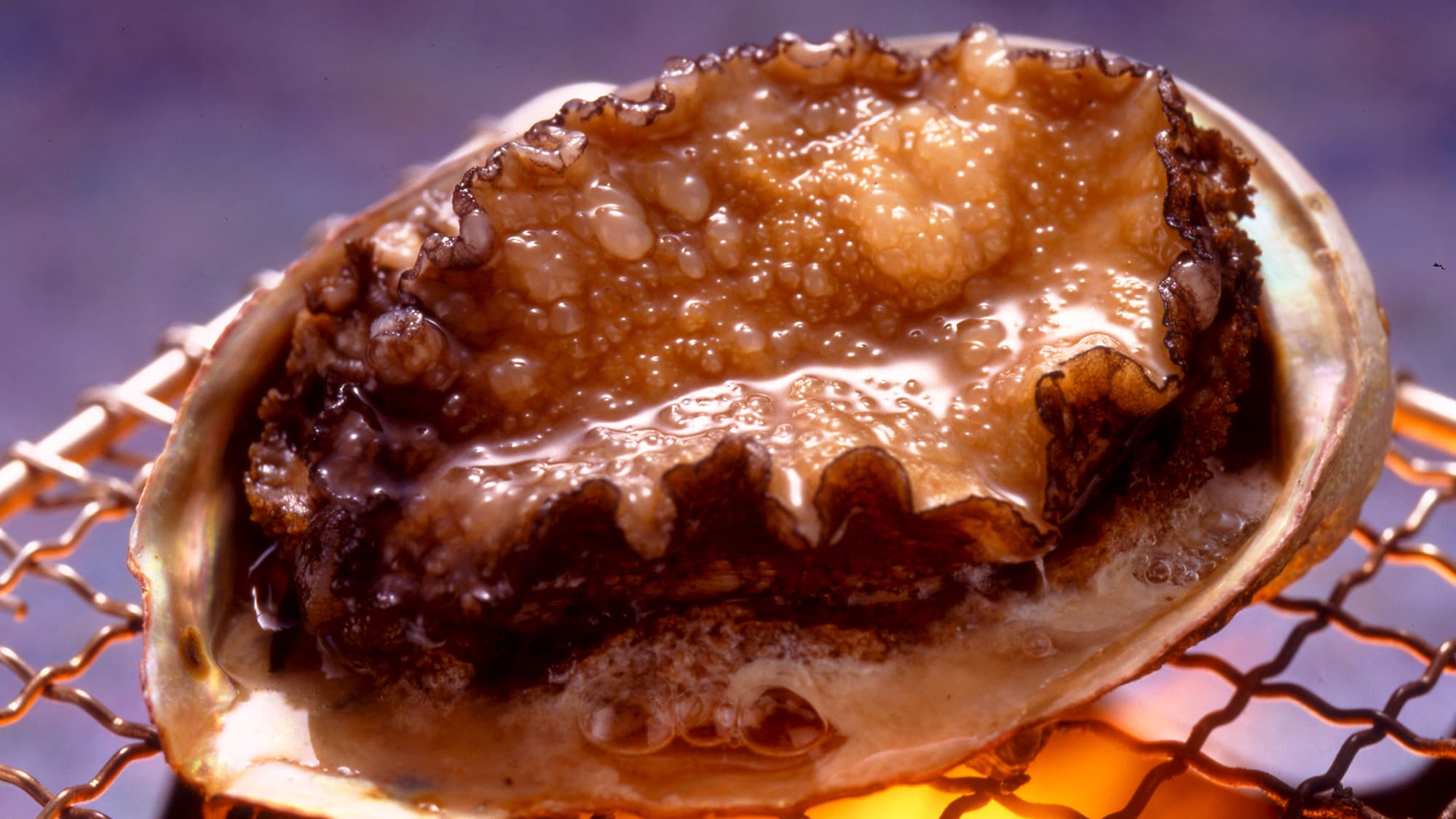 Grilled abalone