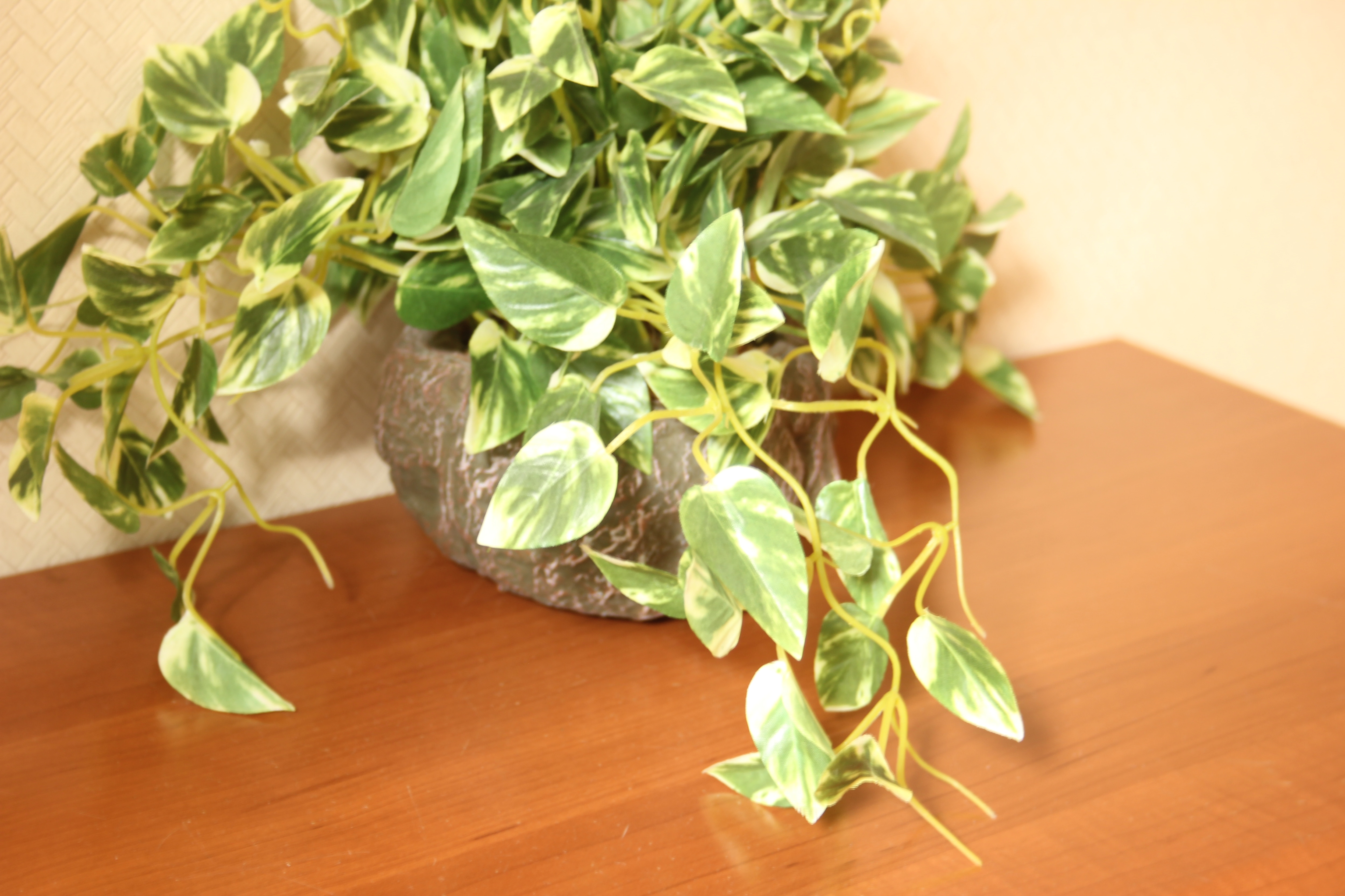 [102] Entrance interior