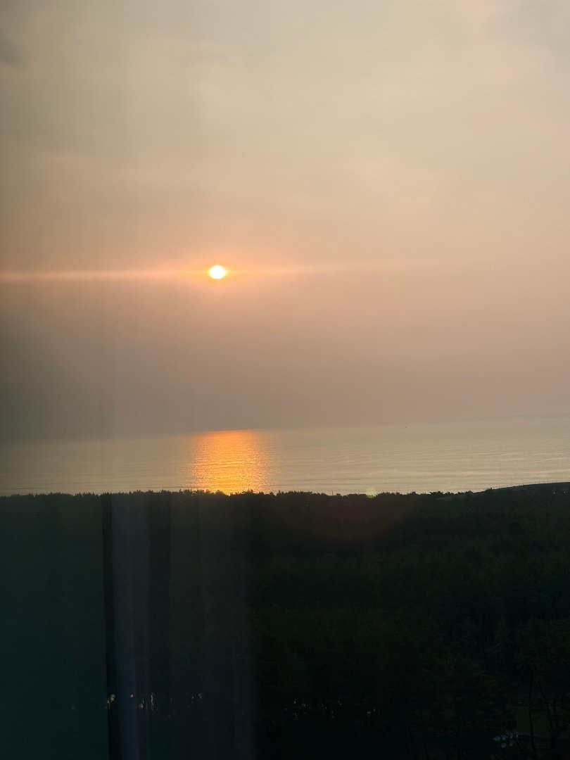 45DF096E-463E-434E-9CC8-F1A9B74B231F.jpeg