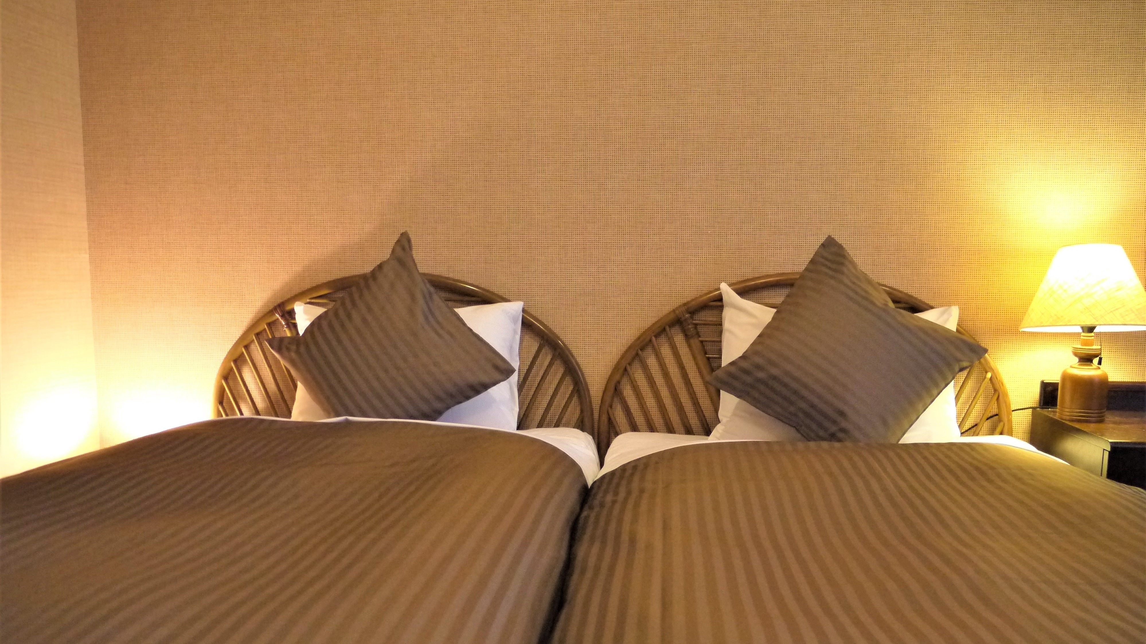 Deluxe Twin Room (Maximum 2 people)