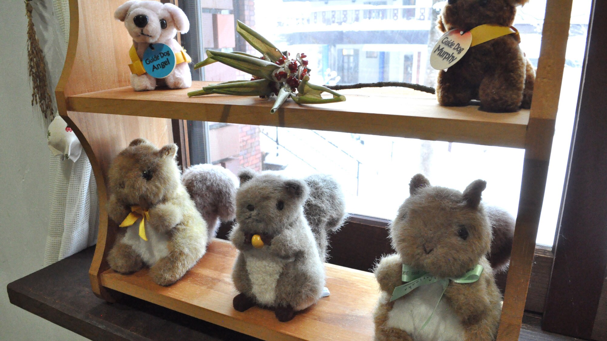 [Squirrel stuffed toy] A gift from a customer ♪