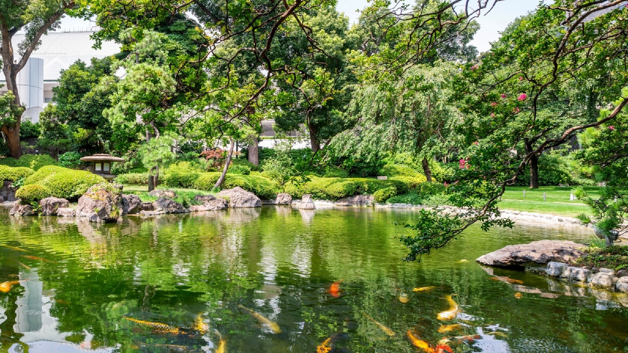 japanese garden pond