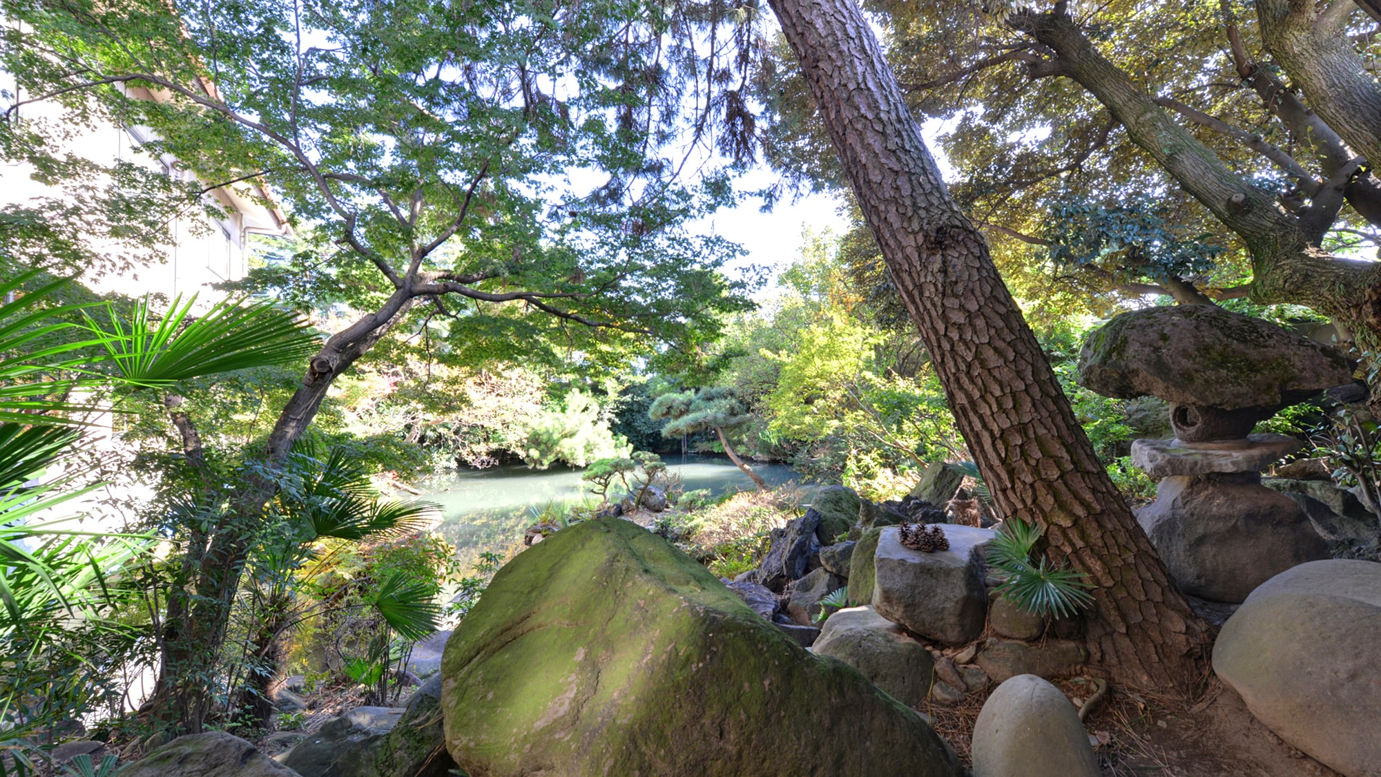 ※從房間看到的風景（1樓日式房間 8張榻榻米）/可以感受到四季景色交相輝映的日本庭園的氣息。
