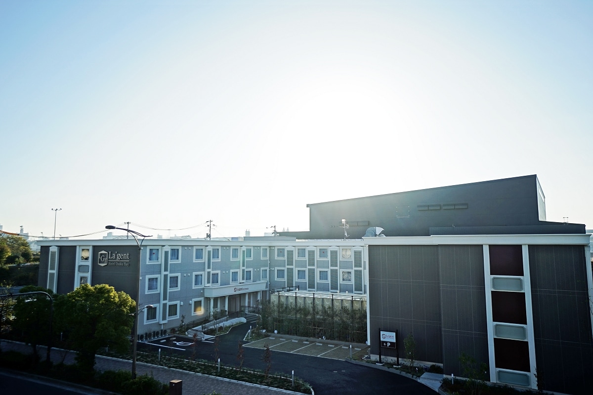 Appearance (daytime)