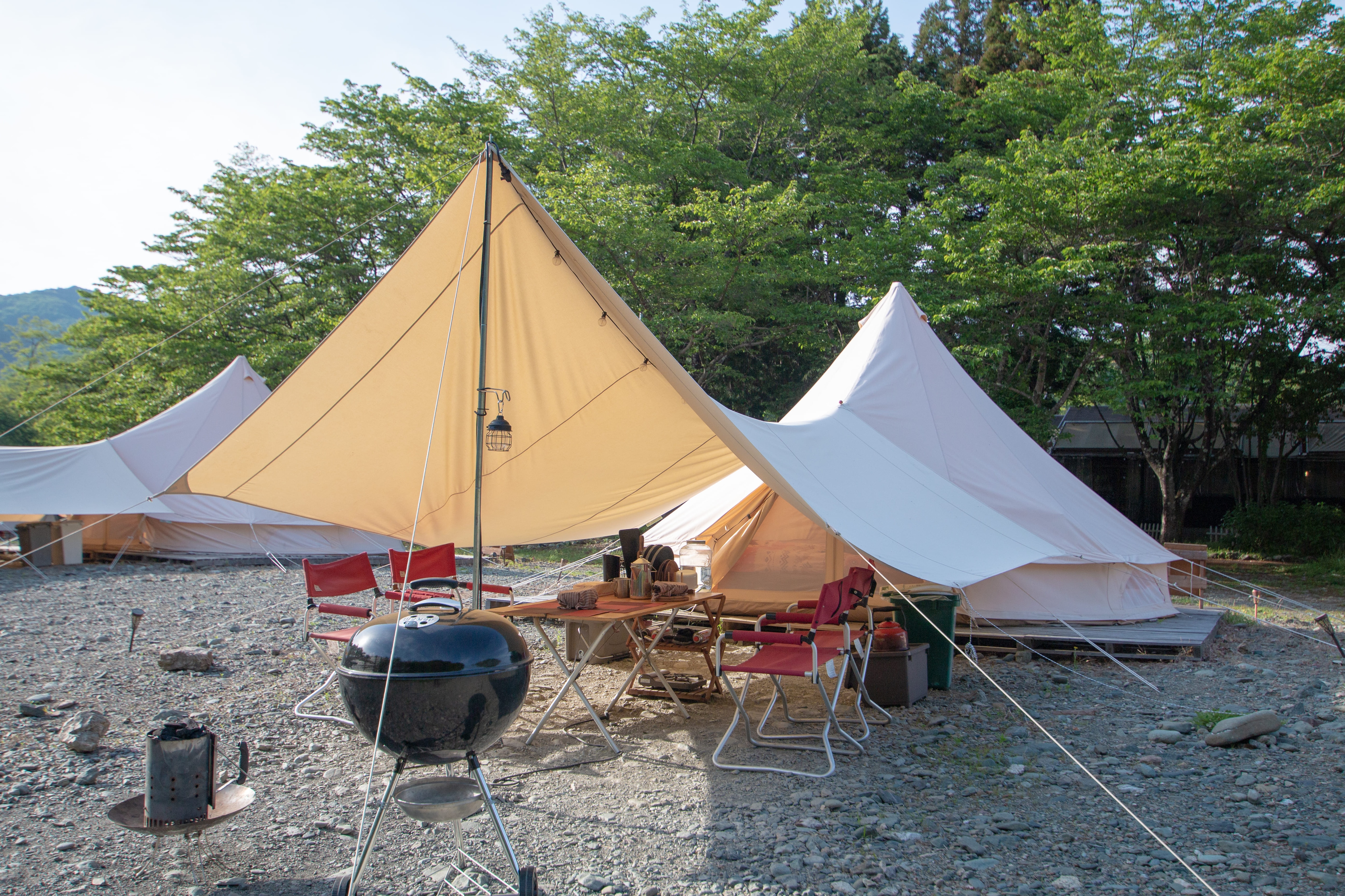 Glamping Tents in the Fresh Green Season