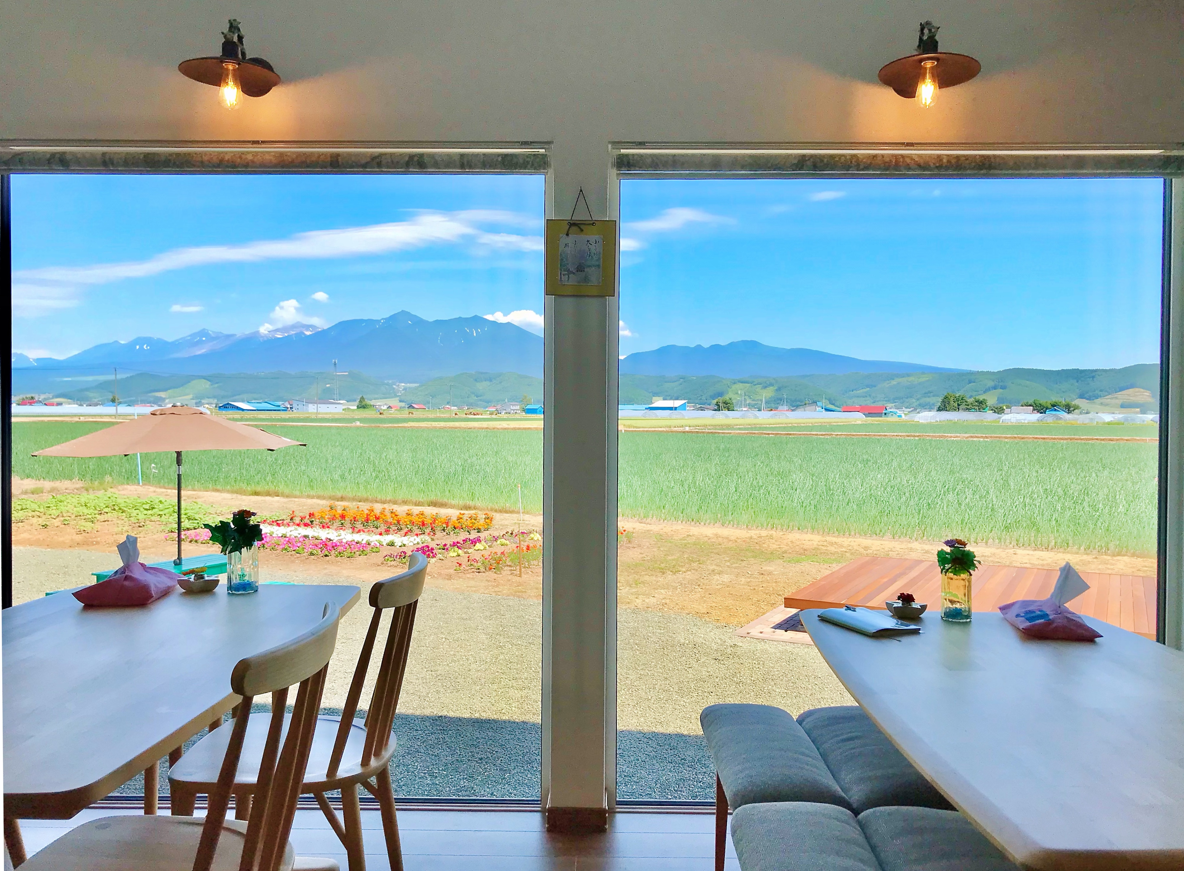 The view from the dining room is our treasure