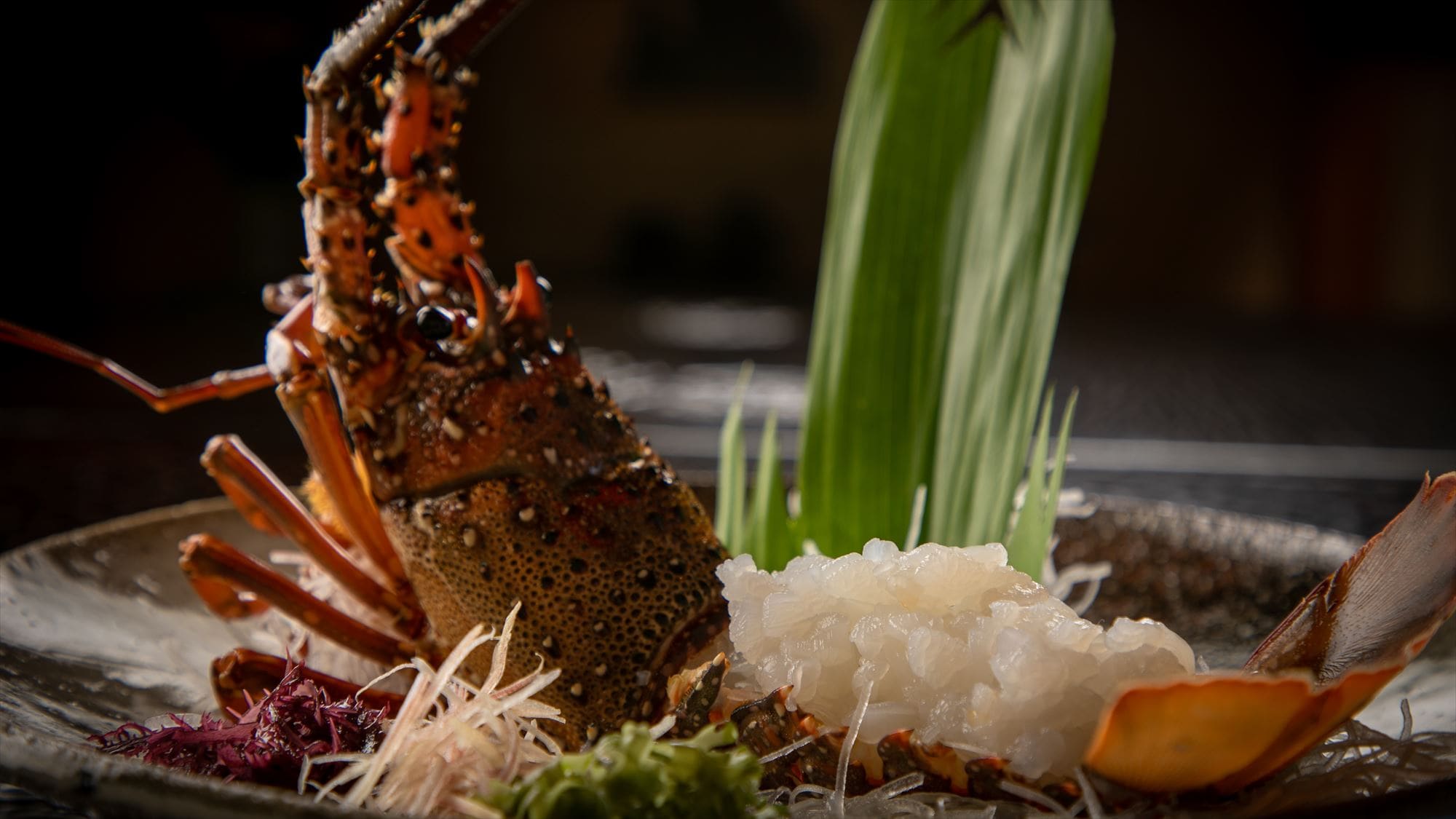 Sashimi tôm hùm gai sống