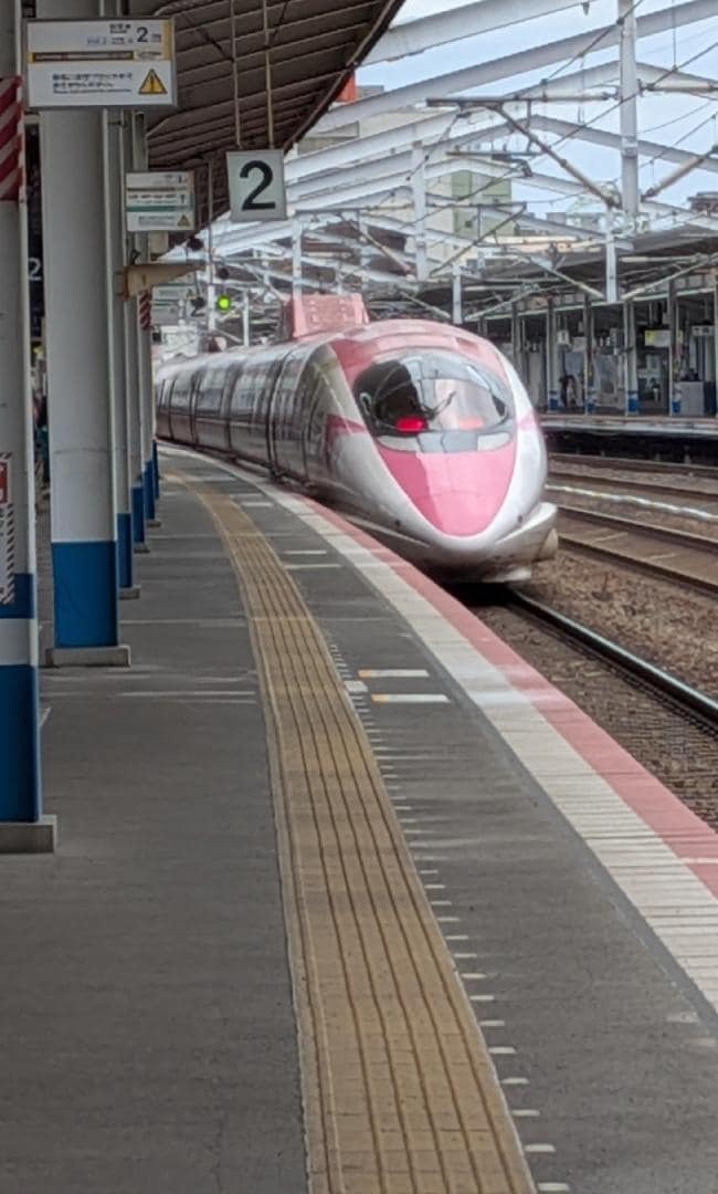 3501.jpg