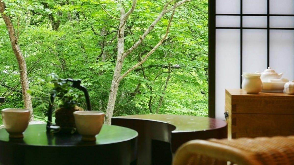 [Special Room Sansui-an] Japanese-Western style room with a semi-open-air bath that flows directly from the source